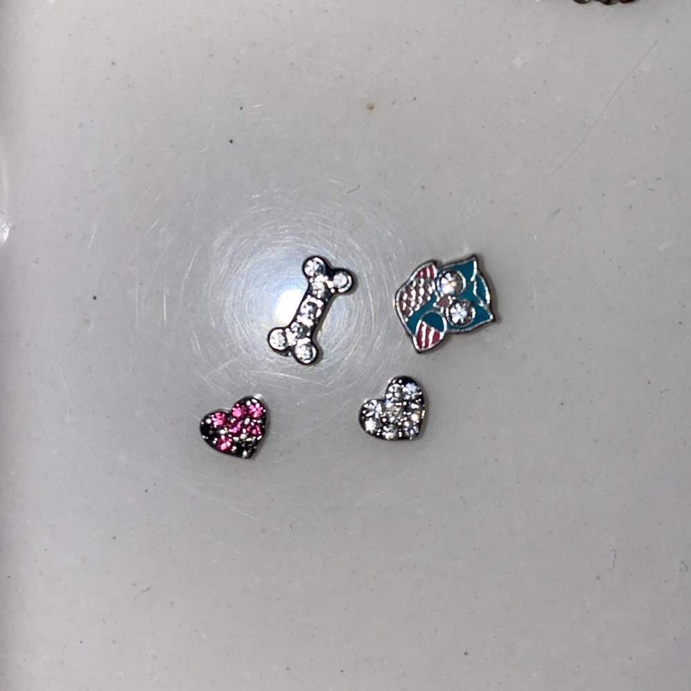 Origami Owl bundle - Picture 4 of 7
